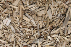biomass boilers Keward
